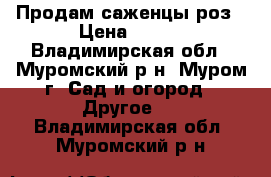 Продам саженцы роз › Цена ­ 250 - Владимирская обл., Муромский р-н, Муром г. Сад и огород » Другое   . Владимирская обл.,Муромский р-н